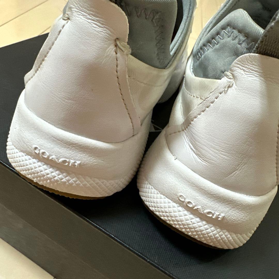 シグネチャー　スニーカー