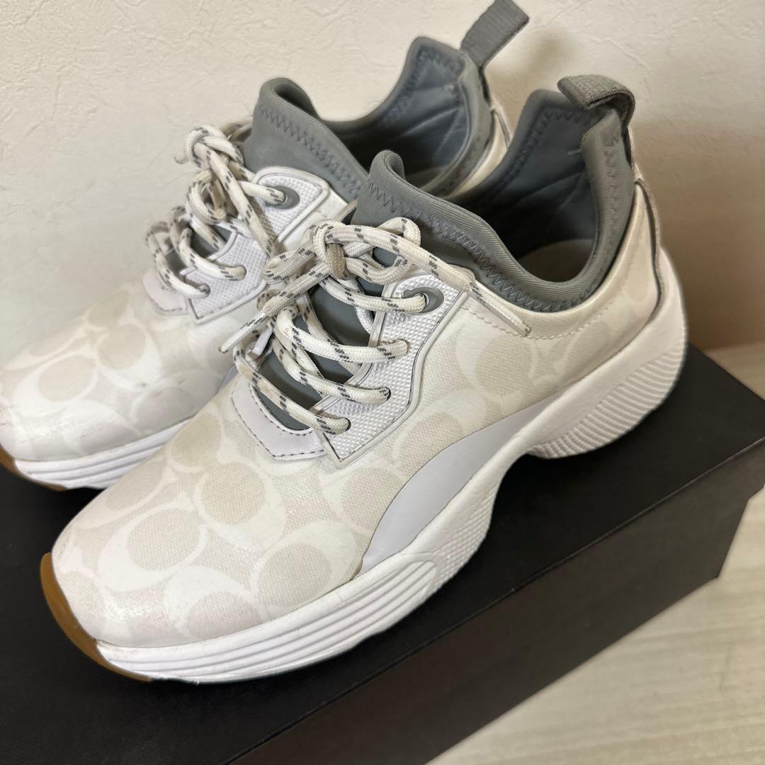 シグネチャー　スニーカー