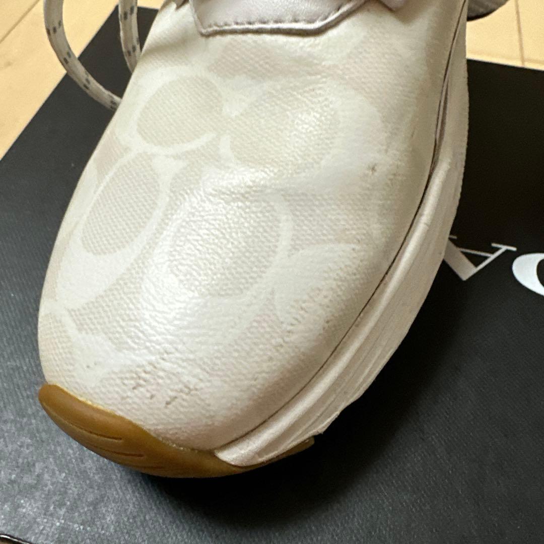 シグネチャー　スニーカー