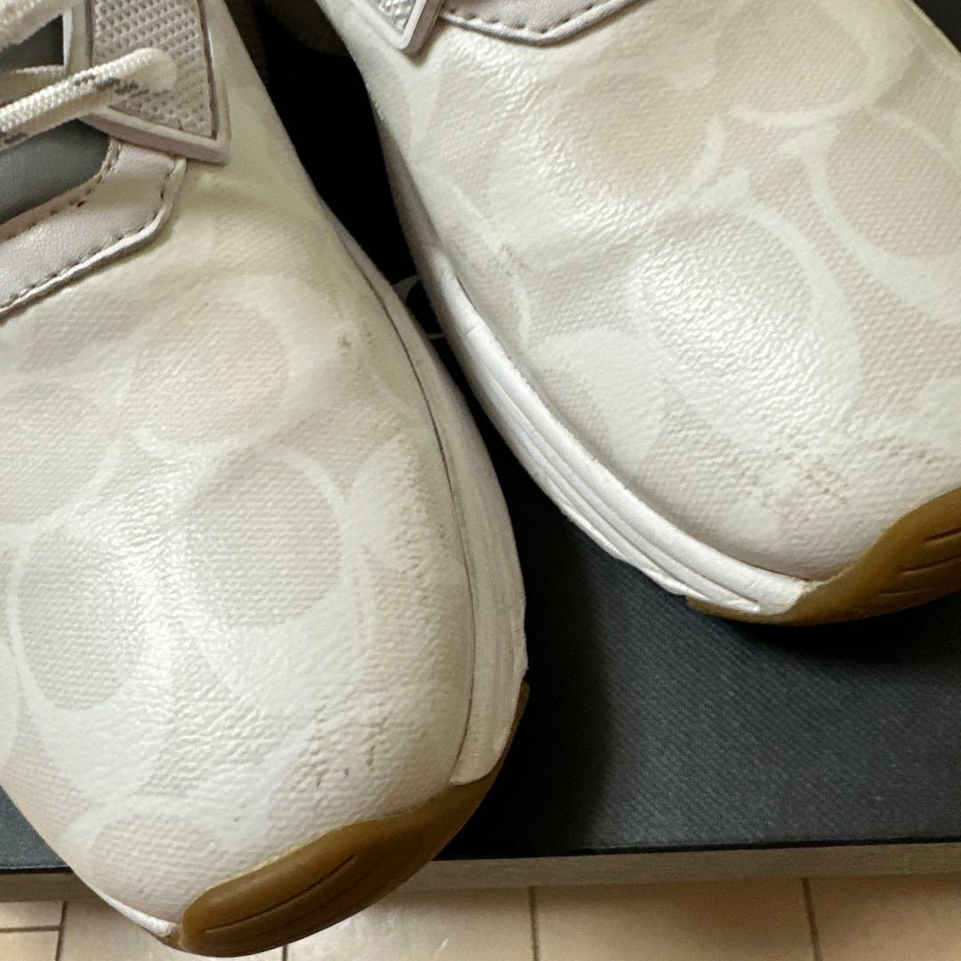 シグネチャー　スニーカー