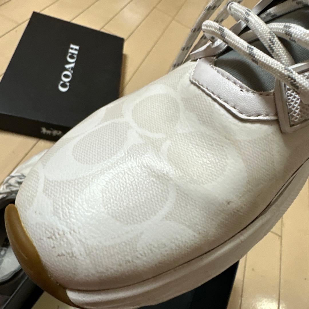 シグネチャー　スニーカー