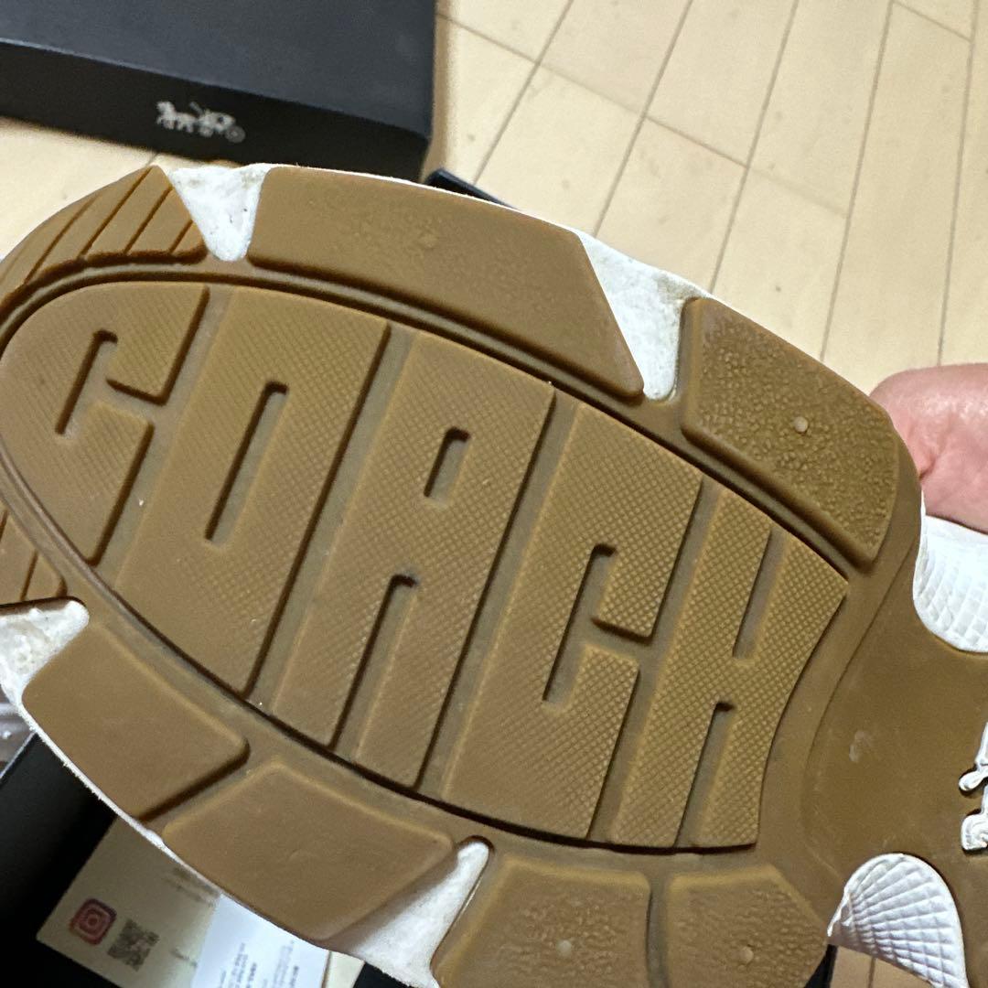 シグネチャー　スニーカー