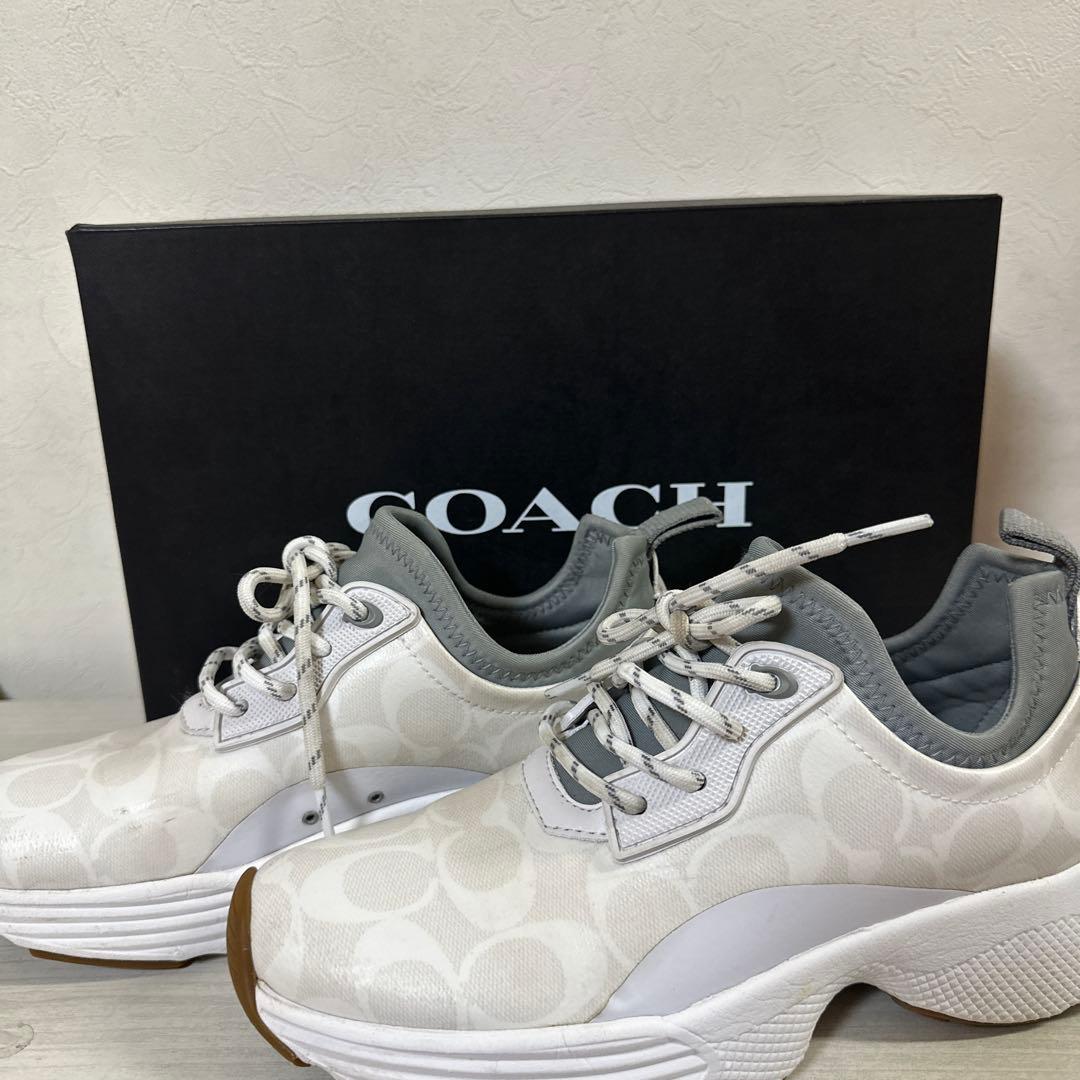 シグネチャー　スニーカー