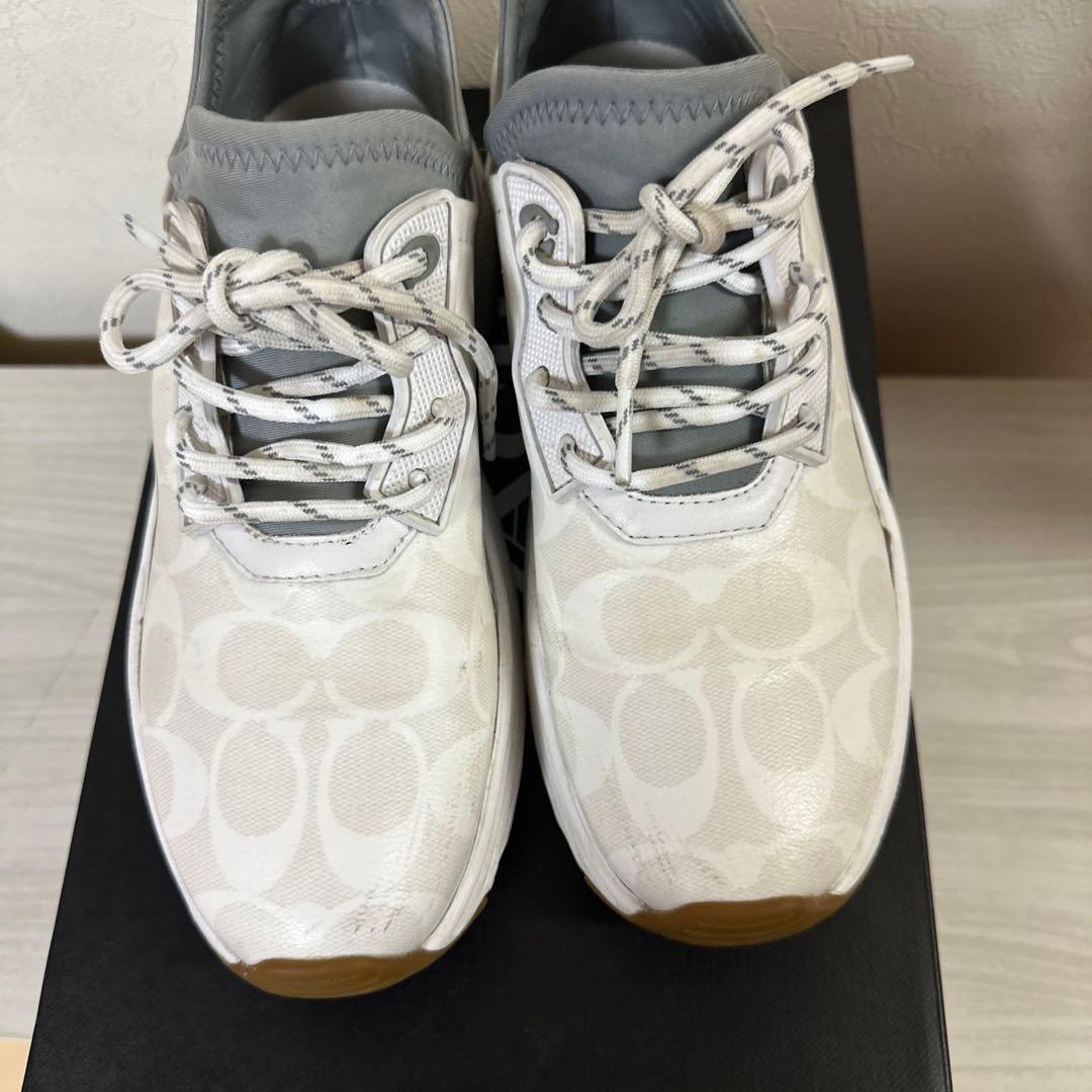 シグネチャー　スニーカー