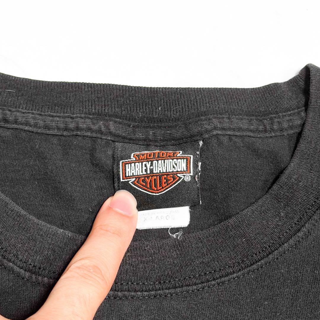 HARLEY DAVIDSON ハーレーロンT TREASURE トレジャー