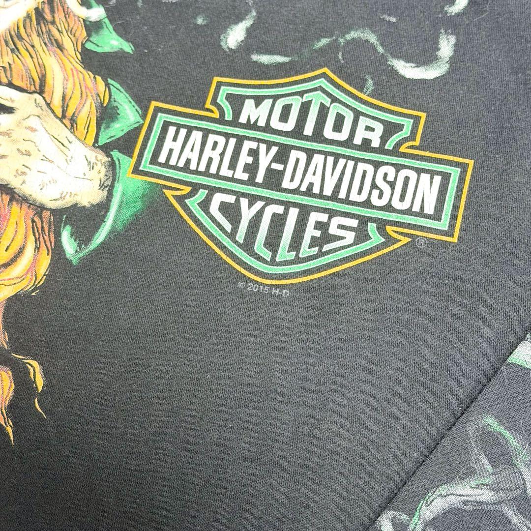 HARLEY DAVIDSON ハーレーロンT TREASURE トレジャー