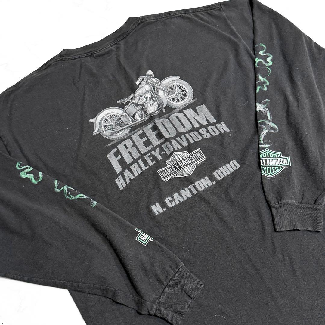 HARLEY DAVIDSON ハーレーロンT TREASURE トレジャー