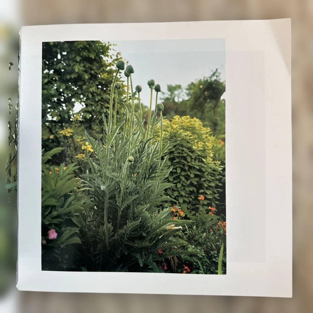 アート・デザイン・音楽 THE GARDENS AT GIVERNY by STEPHEN SHORE
