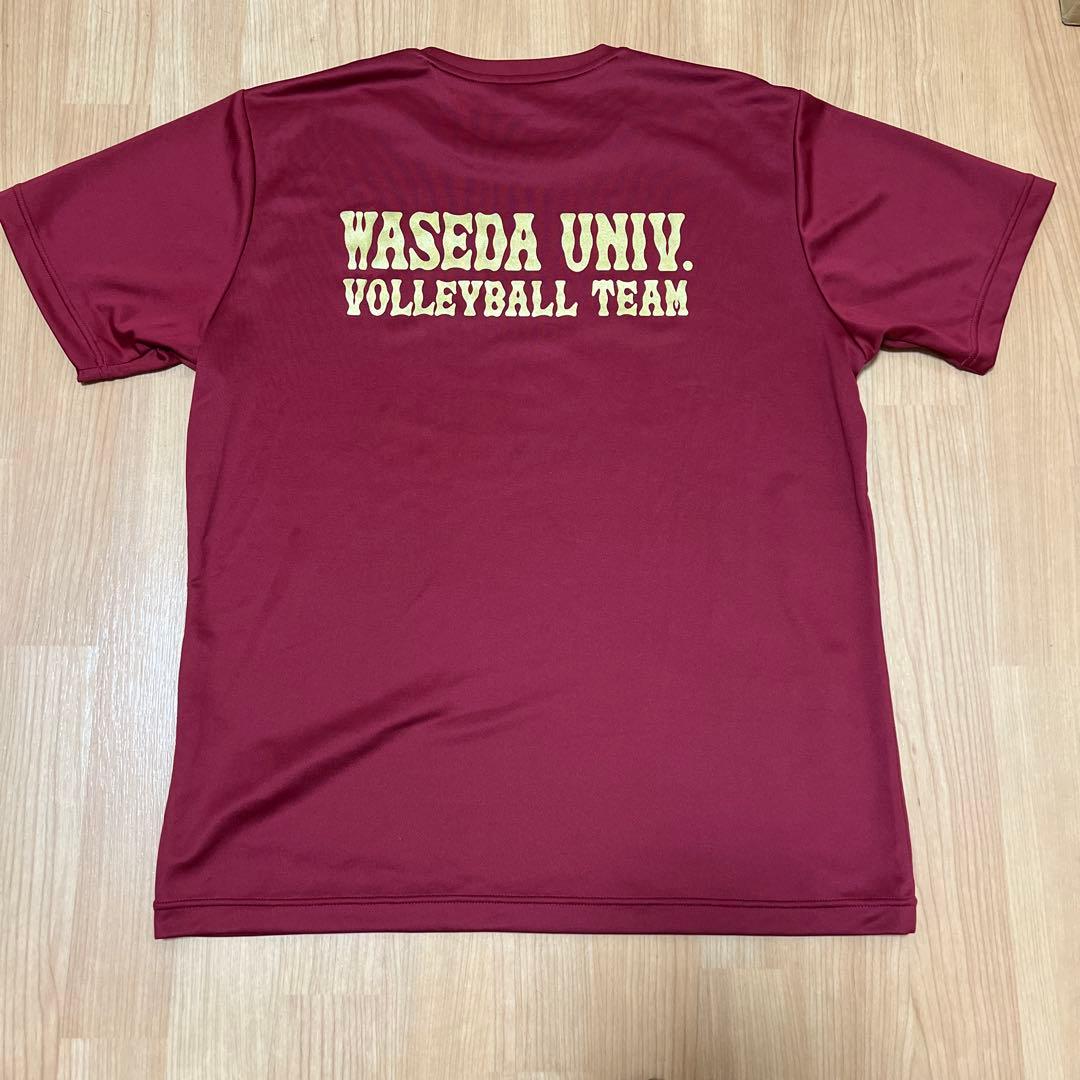 早稲田大学 バレーボールTシャツ
