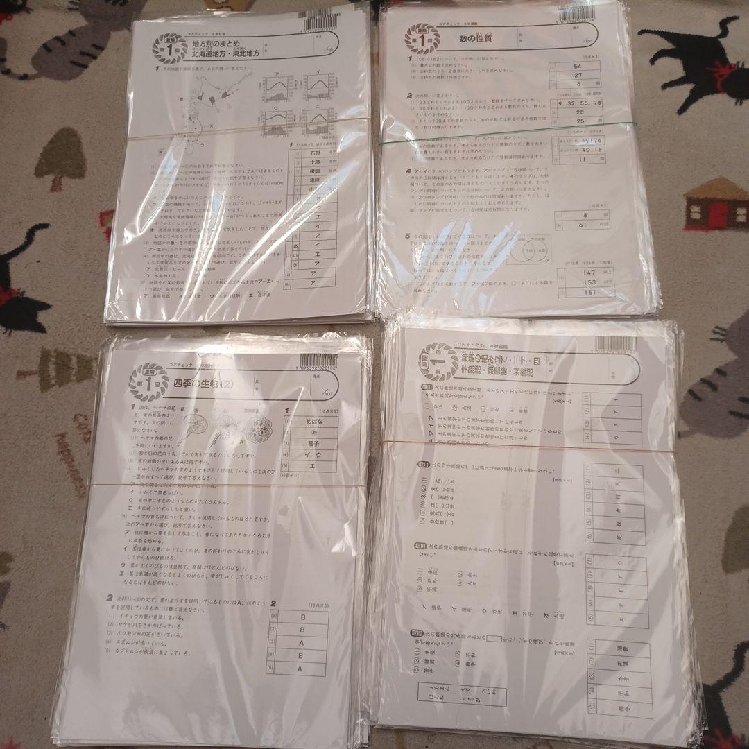 名進研　コアマスター 5年　一年分全部セット