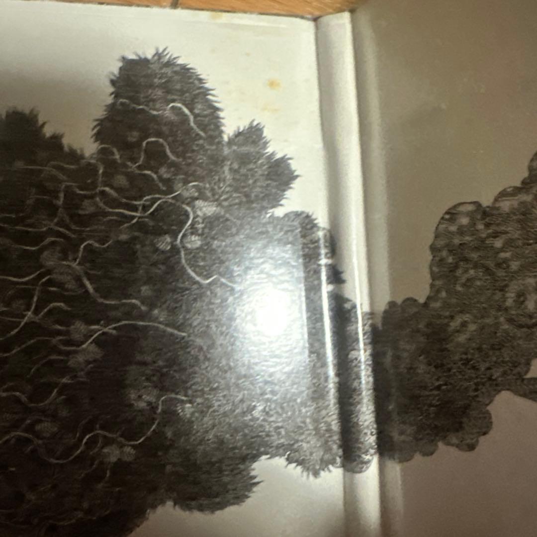 world's end girlfriend CDアルバム7枚