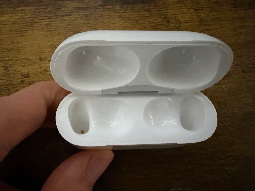 真*空様 AirPods Pro 第2世代 USB-C タイプ