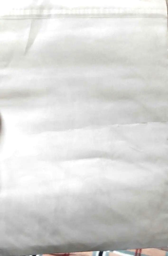 D.Gray-man 複製原稿　非売品　Dグレ　星野桂