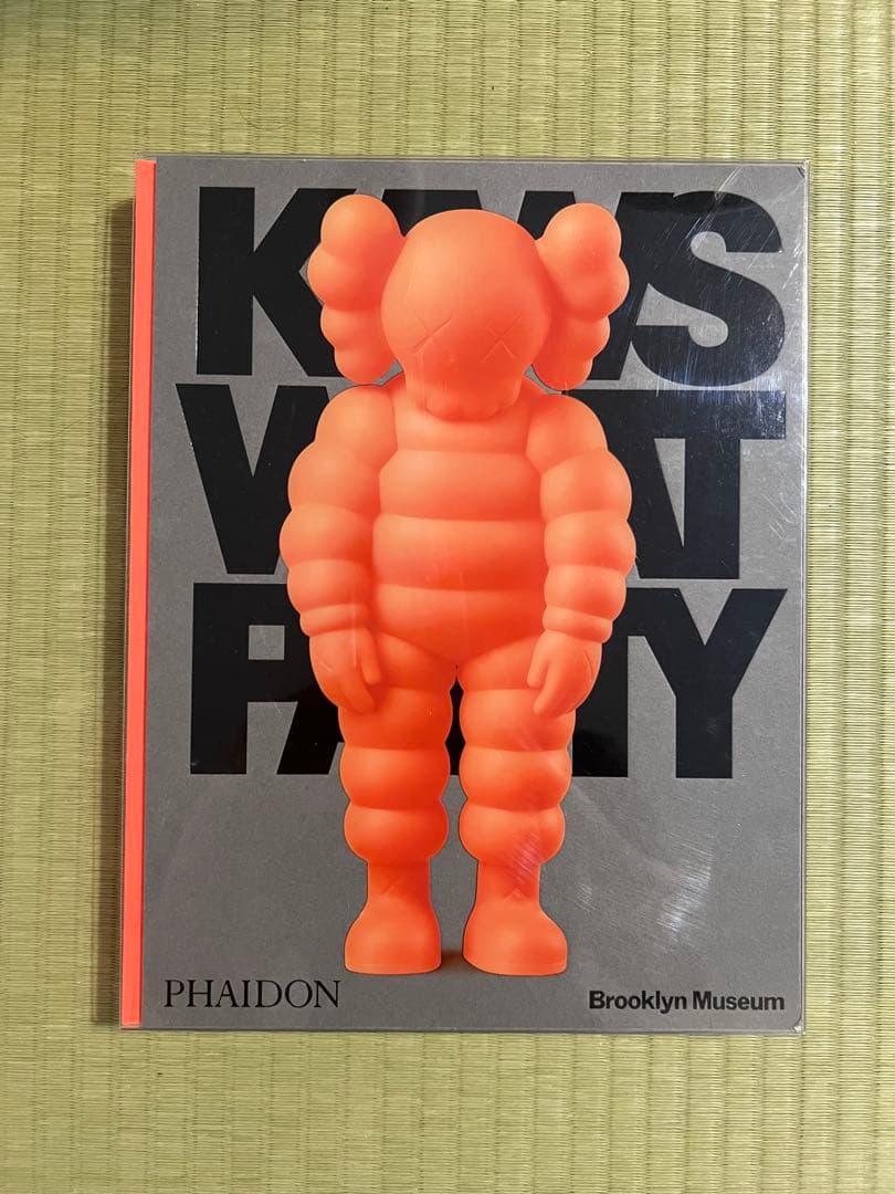 アート・デザイン・音楽 Kaws What Party