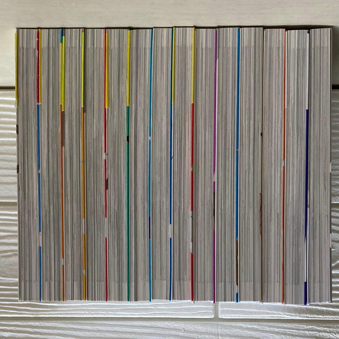 氷の城壁 1〜14巻　全巻