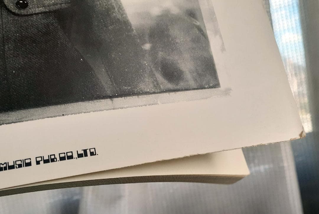 ボニーピンク イヴィルアンドフラワーズ バンドスコア 初版