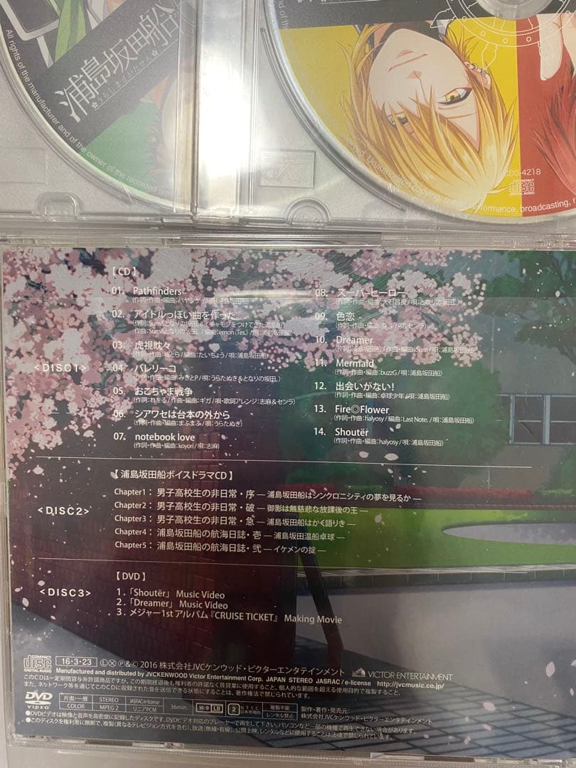 浦島坂田船 cruise ticket