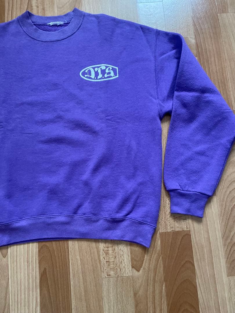 90sDOGTOWNスウェット Santa Cruz Powell zorlac