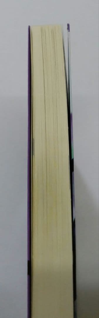 ペルソナ·アナザービジョン 明日出会う自分へ 甲斐透 PERSONA