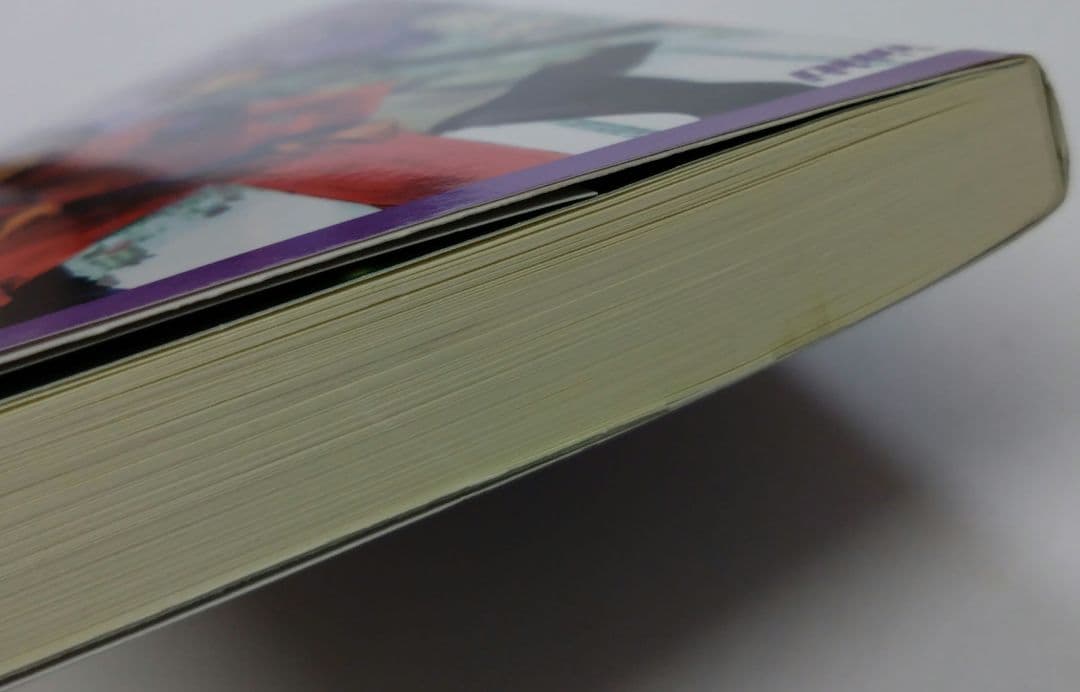 ペルソナ·アナザービジョン 明日出会う自分へ 甲斐透 PERSONA