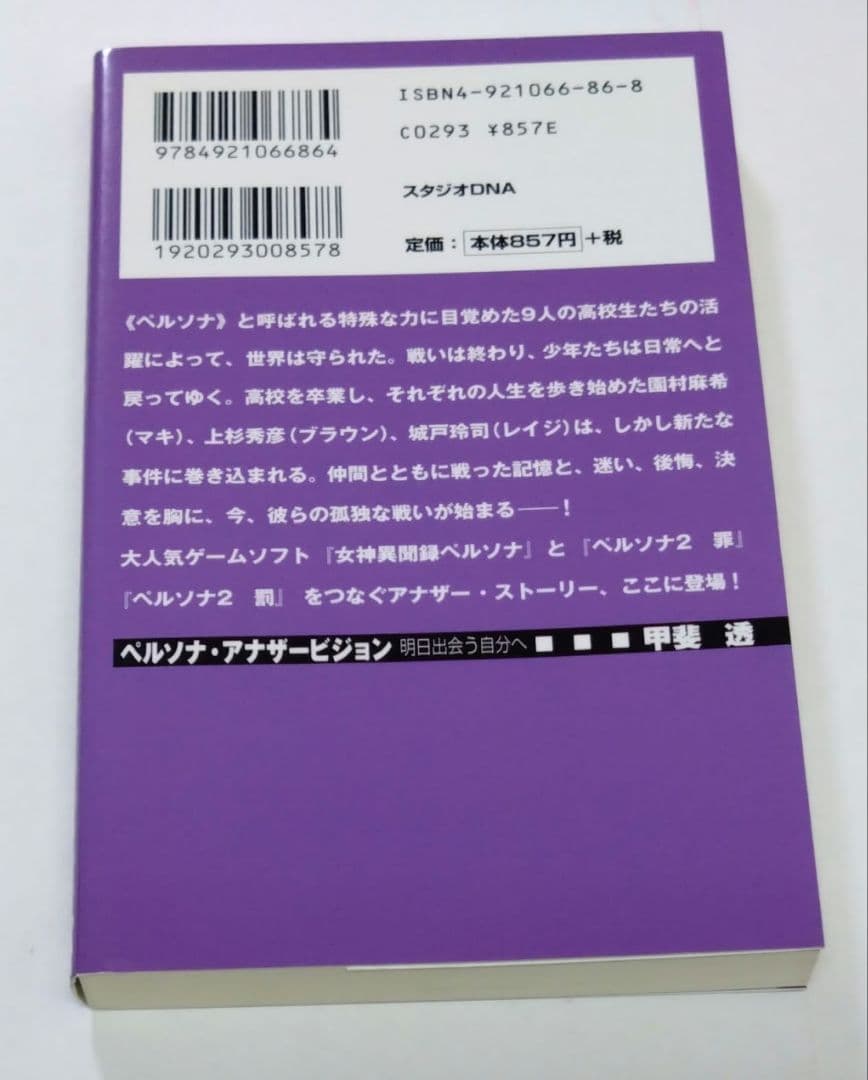 ペルソナ·アナザービジョン 明日出会う自分へ 甲斐透 PERSONA