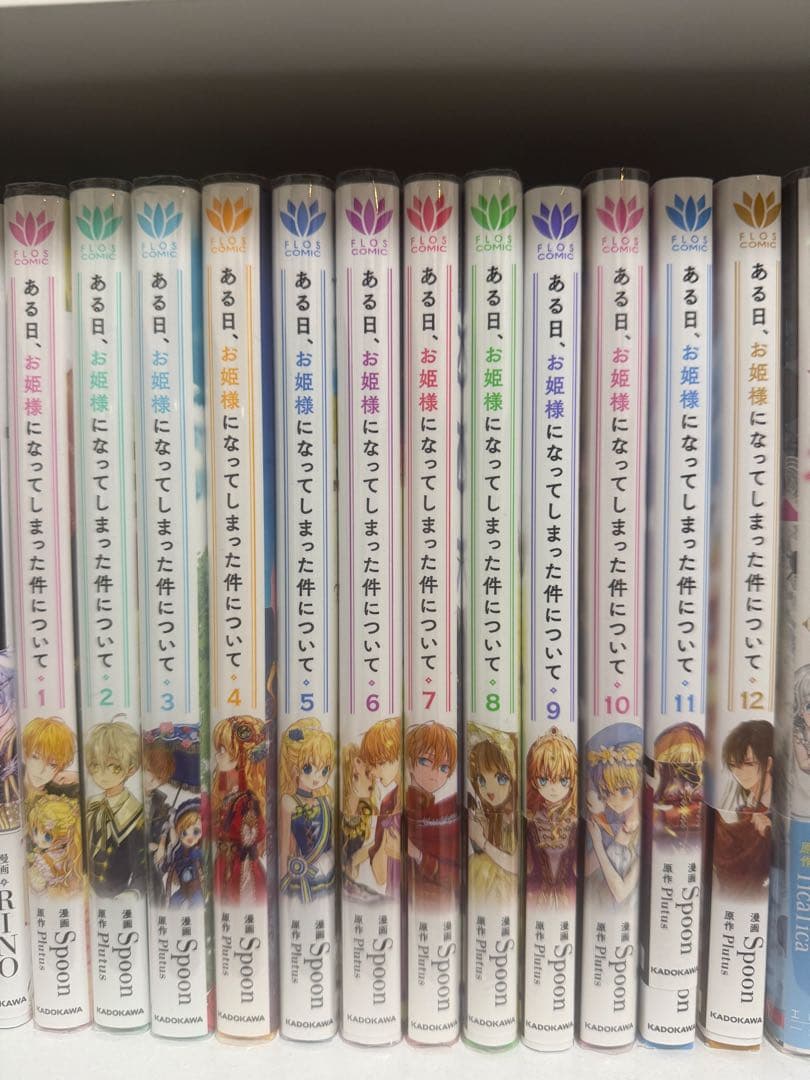 ある日、お姫様になってしまった件について 全12巻