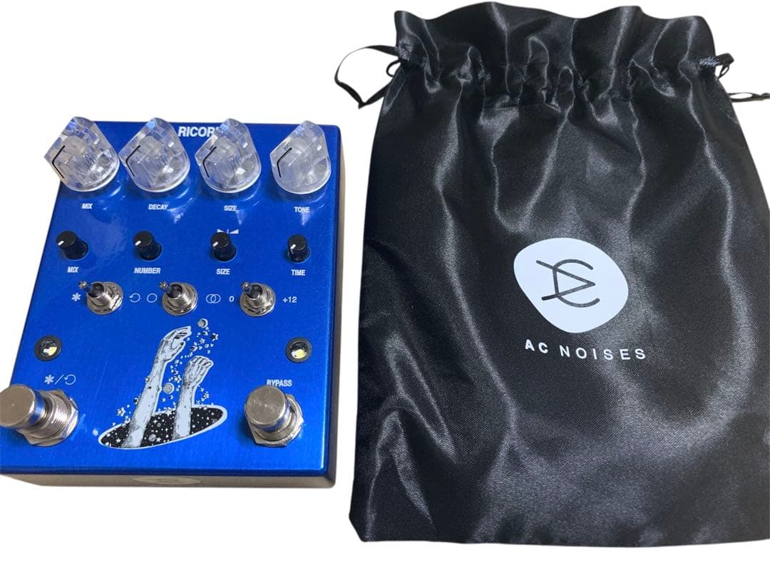AC NOISE RICORDA グラニュラーループ、エフェクターペダル