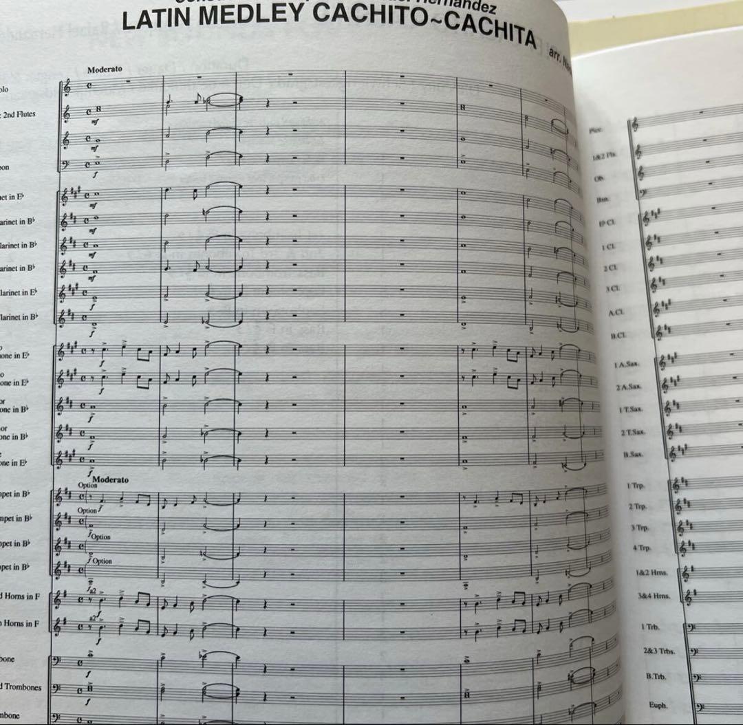 NSB 岩井直溥編曲　ラテンメドレー　カチート〜カチータ