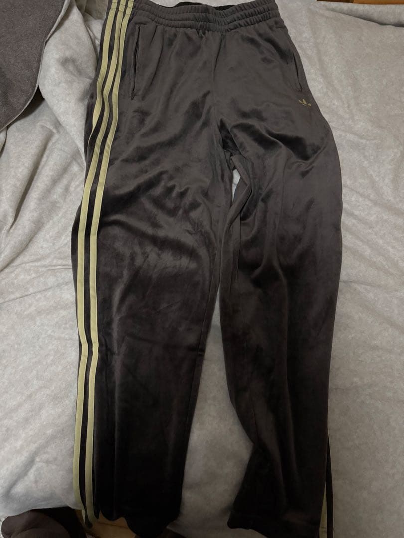 adidas トラックパンツ ベロア