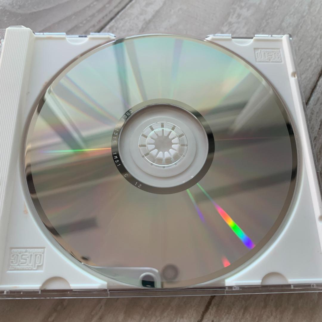 2001年運動会用ＣＤ／Fly high！/井出真生：中古CD