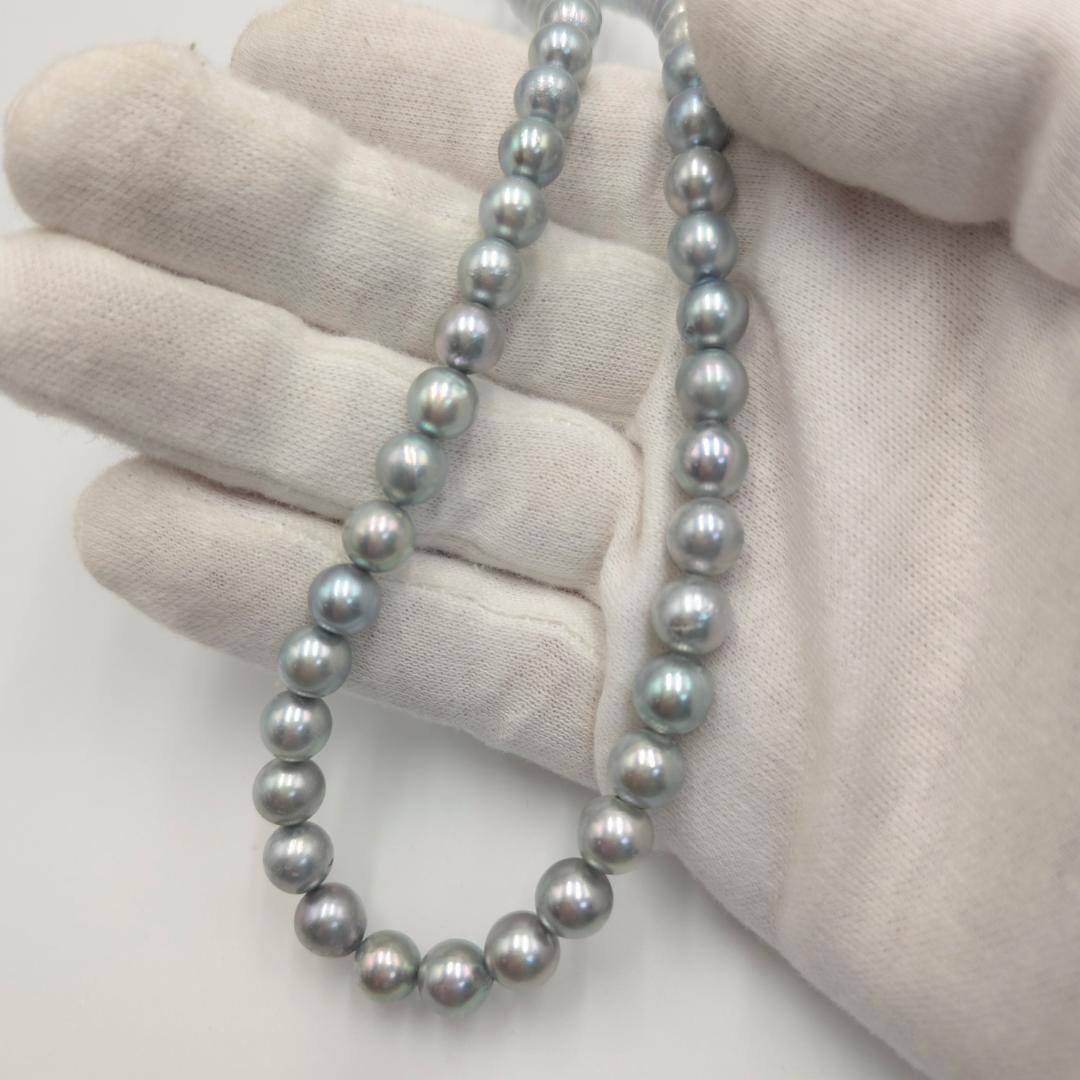 アコヤ あこやパール 本真珠 ネックレス akoya 希少カラー 8.0mm