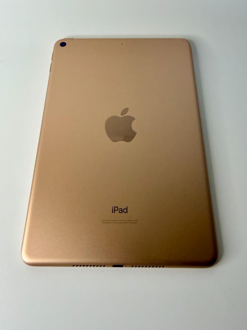 iPad mini (第5世代) Wi-Fi 64GB Gold