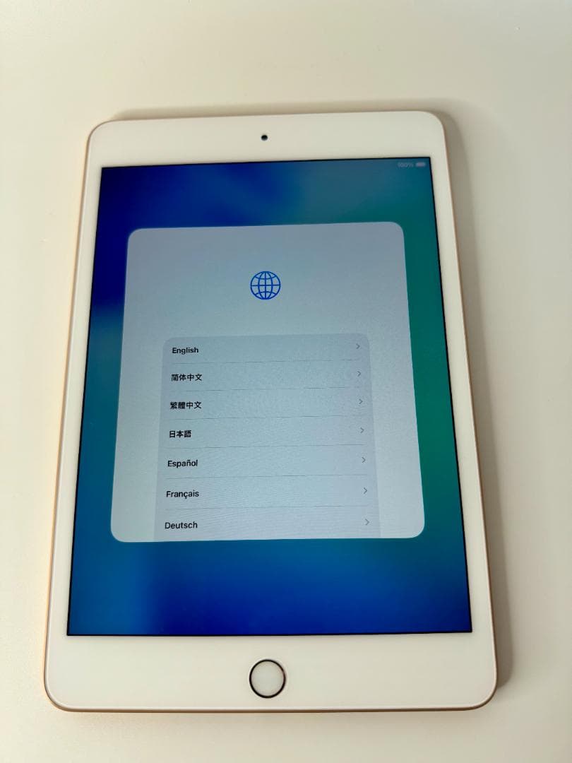 iPad mini (第5世代) Wi-Fi 64GB Gold