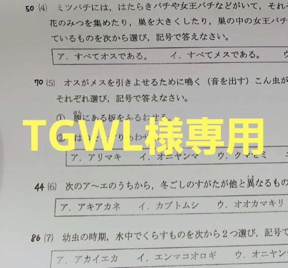 語学・辞書・学習参考書 TGWL