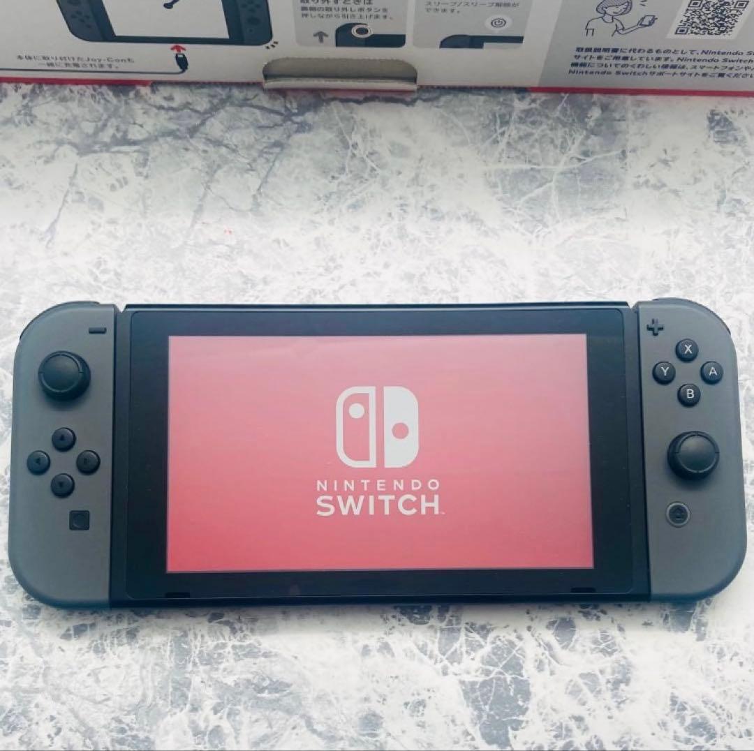 あ*ん様 Nintendo Switch 本体 グレー マイクロファイバー付き