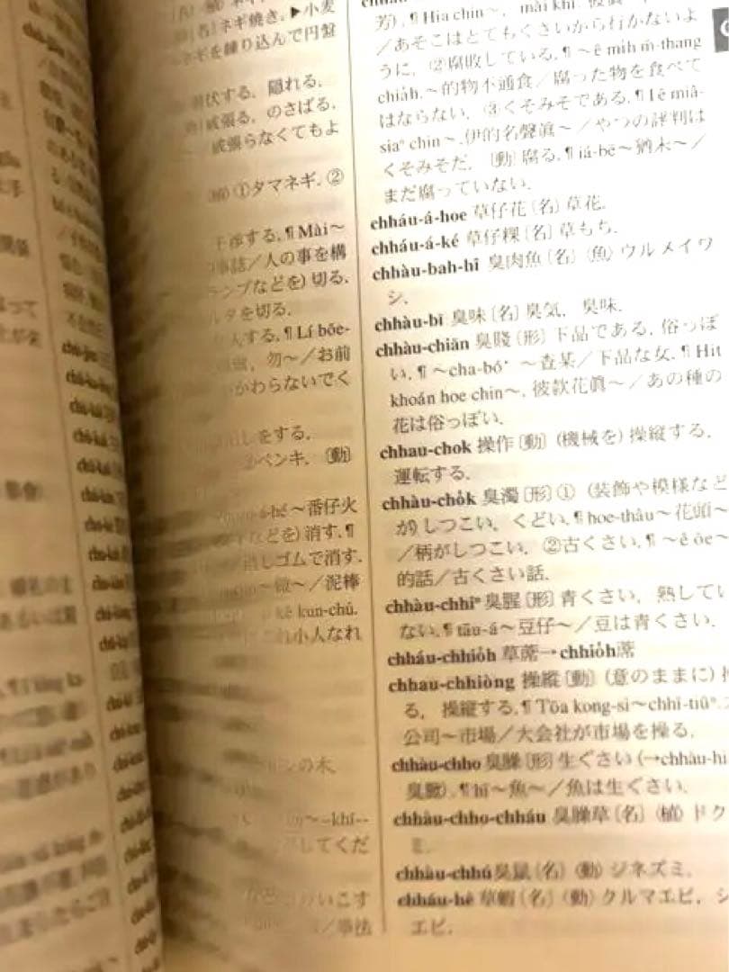 東方台湾語事典