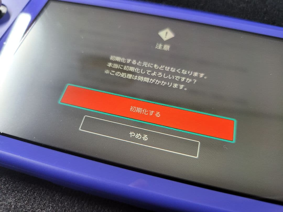 Nintendo Switch Lite本体ブルー(付属品有り)