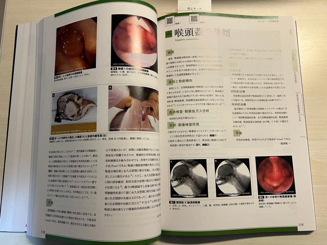 犬と猫の呼吸器疾患（裁断なし）