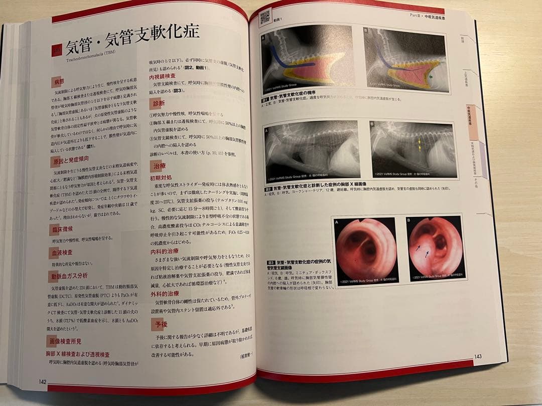 犬と猫の呼吸器疾患（裁断なし）