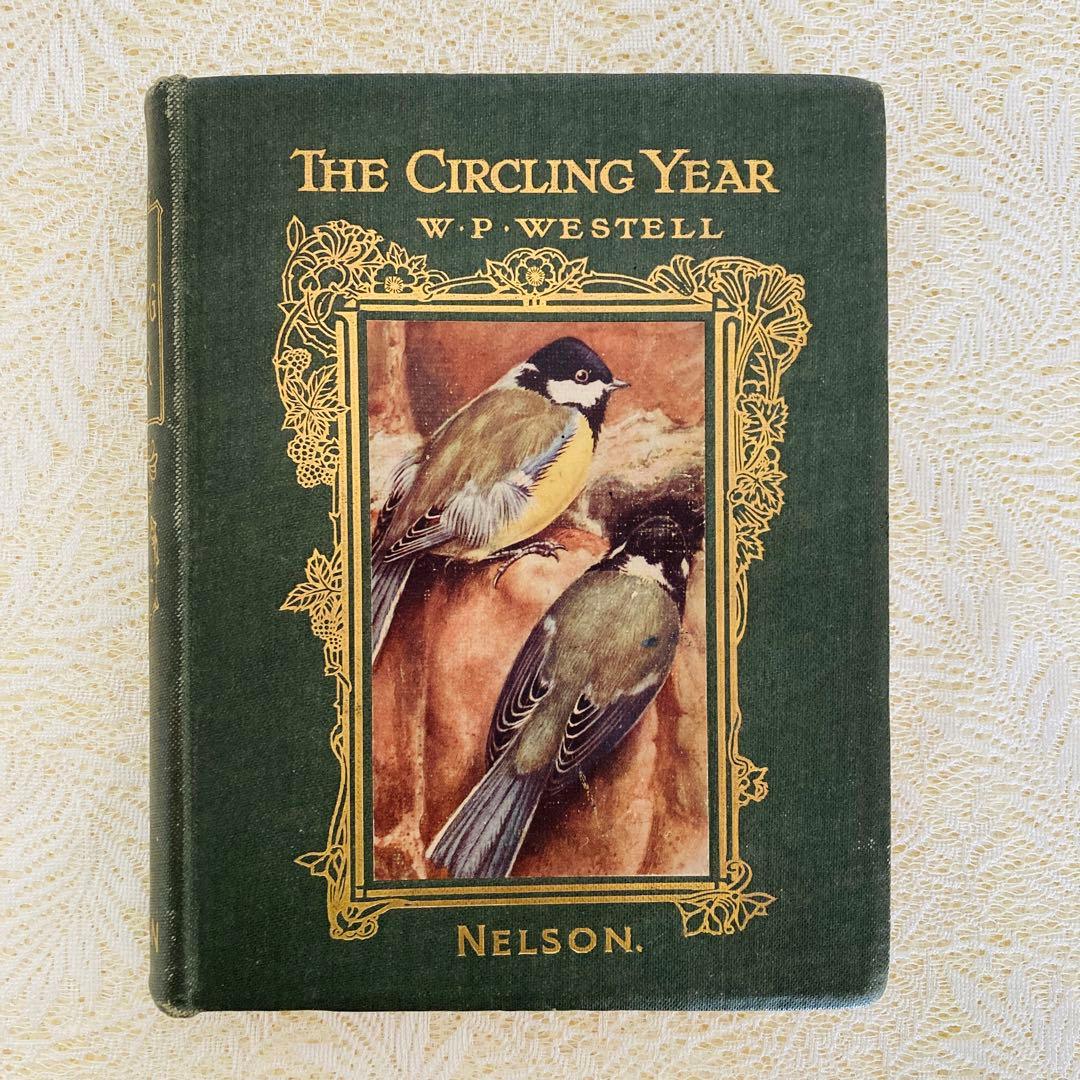 希少　イギリスのアンティーク動植物図鑑　鮮やかで美しいイラスト♡　洋書・古書