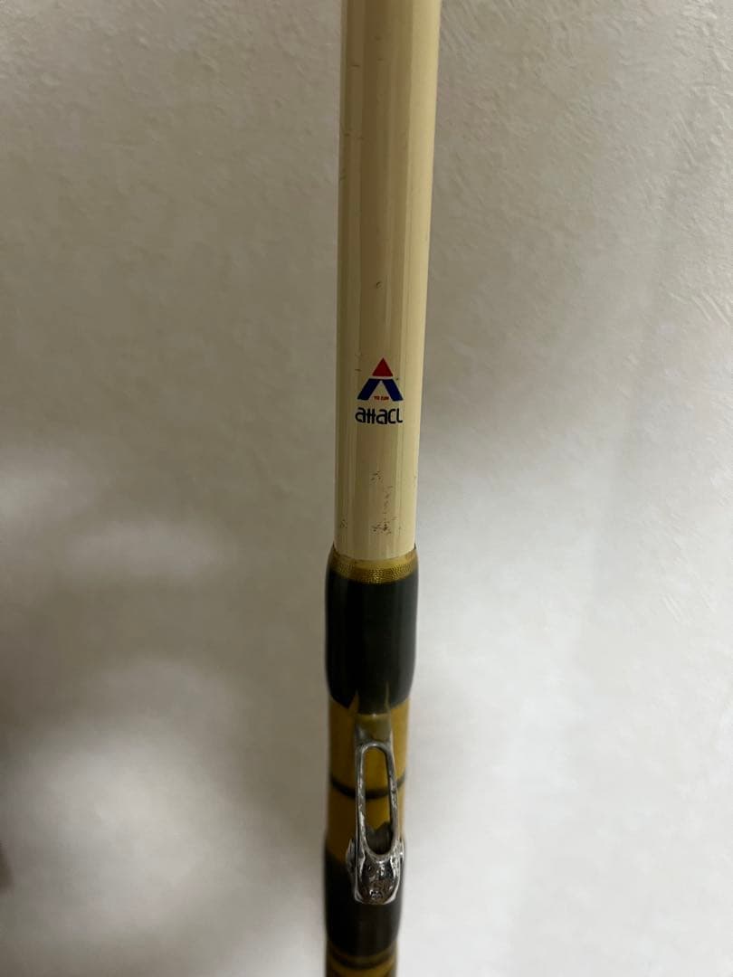 PENN INTERNATIONAL IGFA 2本セット ロッド