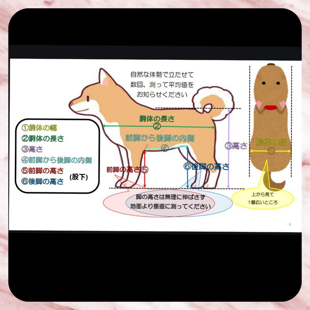 yukowanmamaM.ダックス4輪 リハビリ食事補助　犬用車椅子　介護