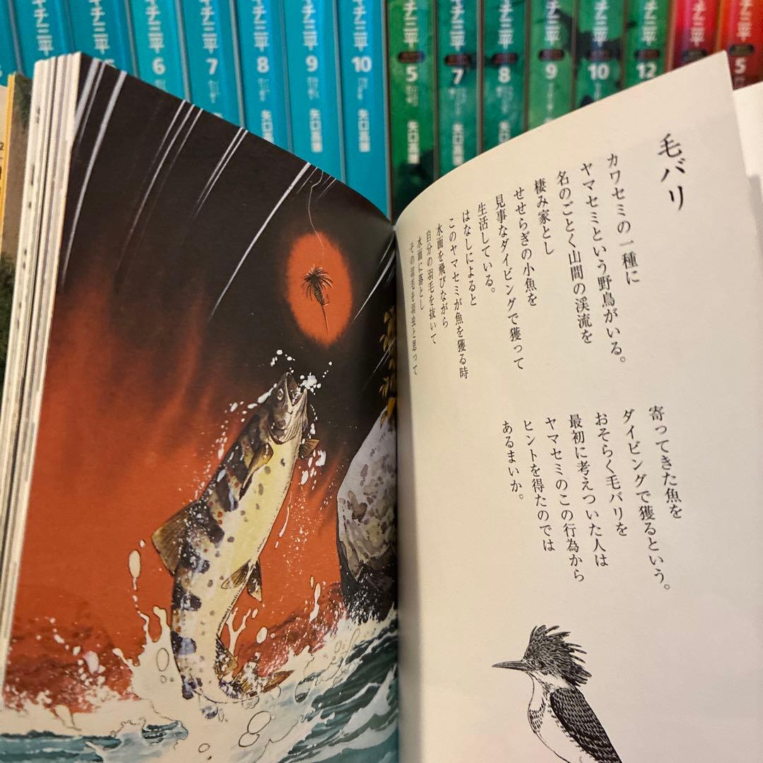釣りキチ三平　岩魚の恩返し　釣りバカたち　短編集　谷口高雄　セット
