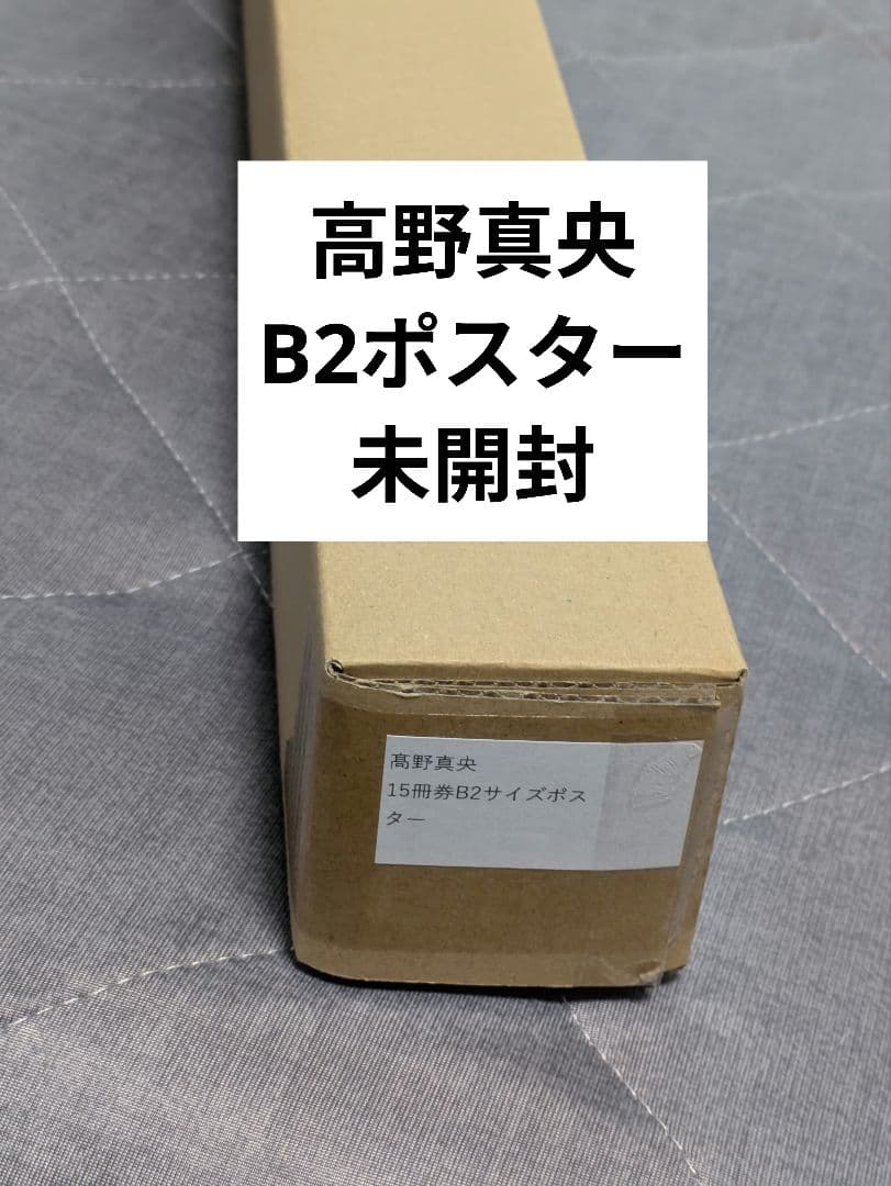 【未開封】週刊プレイボーイ 髙野真央 オンラインサイン会 特典 B2ポスター