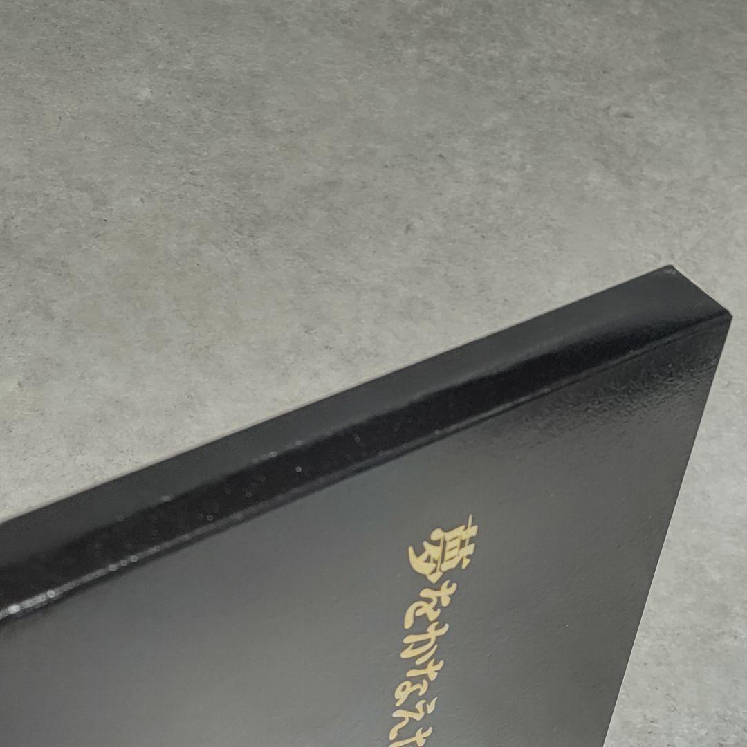 DVD 夢をかなえた洗脳力 苫米地英人