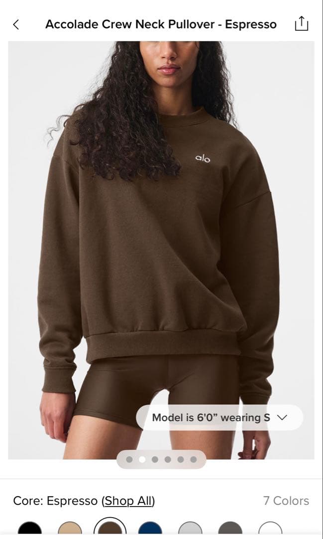 alo セットAccoladeCrewNeckPulloverEspresso