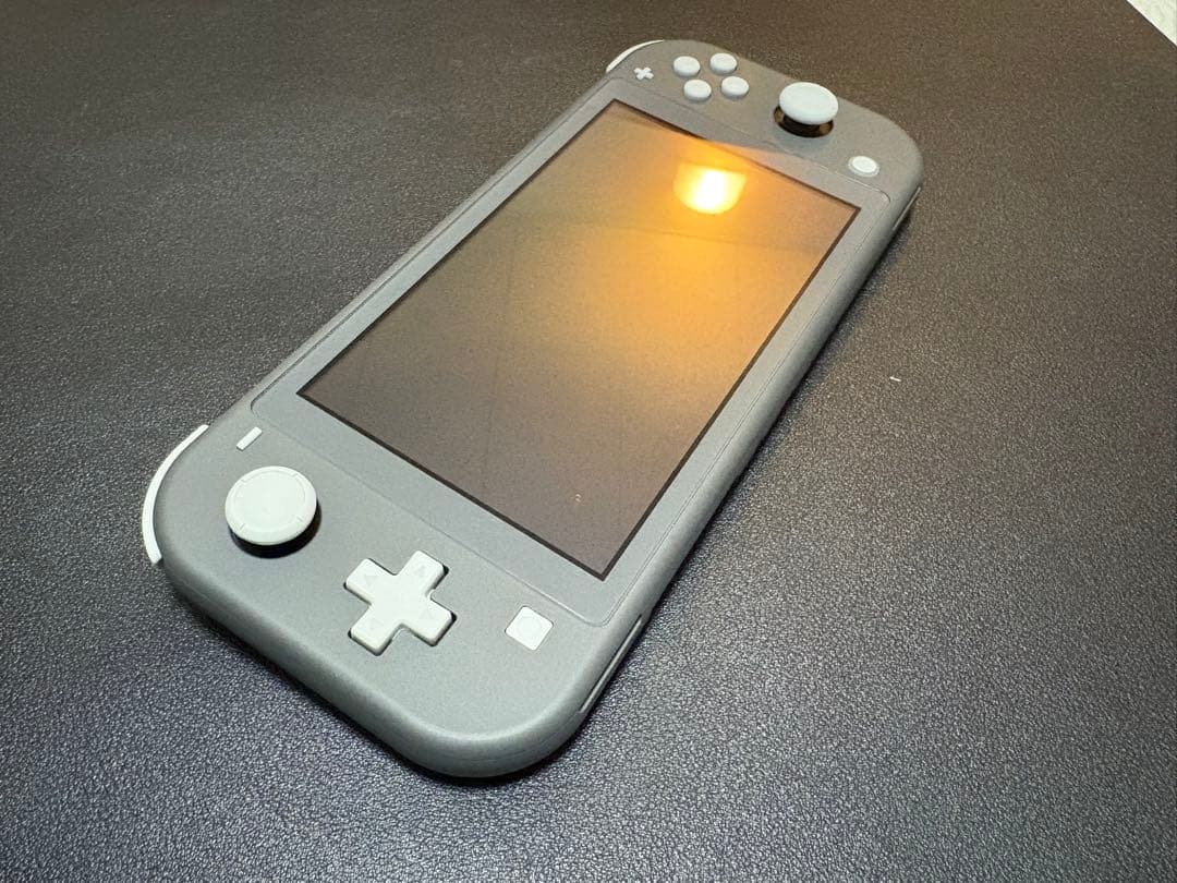 Nintendo Switch Lite グレー 本体と付属品