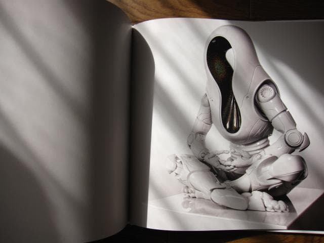 REIWA　Shohei Otomo　大友昇平　Heisei Mary 平成聖母