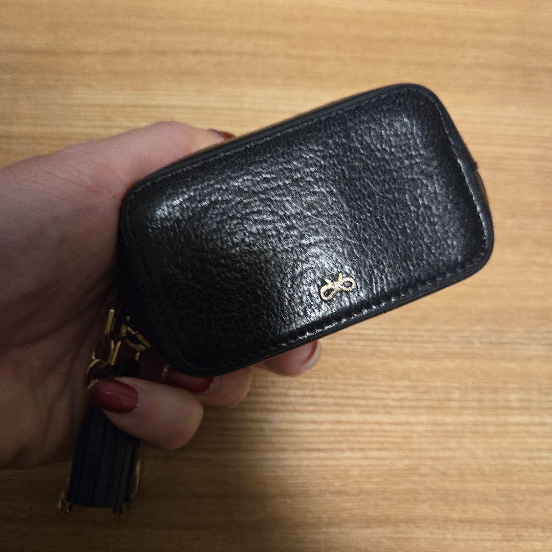 アニヤ・ハインドマーチ アイズ ケース