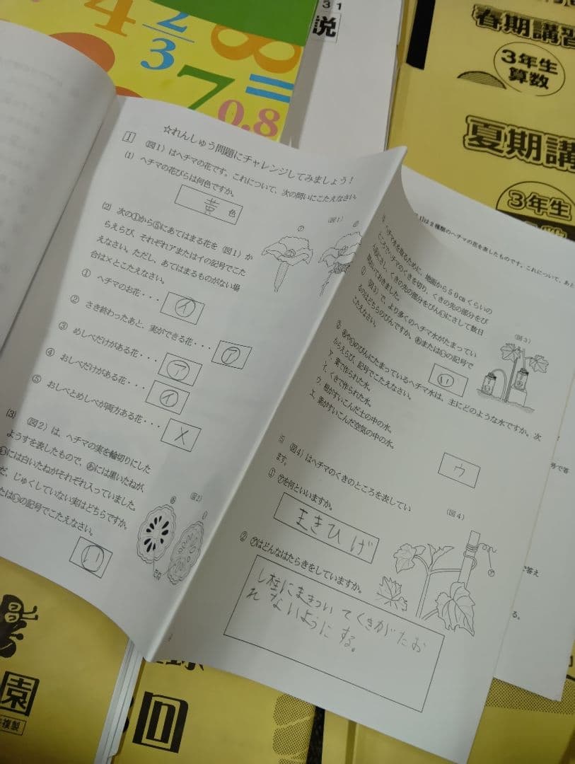 浜学園小3　国語/算数/理科/春夏冬　テキスト　2021年使用版　 中古